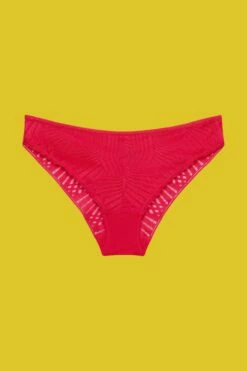 ESPRIT Mini-Slip Mit Spitze -Cheap ESPRIT Store 013EF1T329 660 20