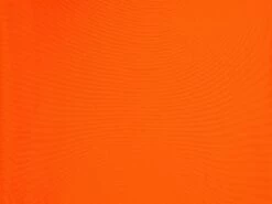 Bottom Calendula Nice-Fio 11 Bottom Calendula Nice-Fio -Cheap ESPRIT Store bottom calendula nice fio extra 6 05 02fee377 fd12 42fe 8a5a 443a2d69de72