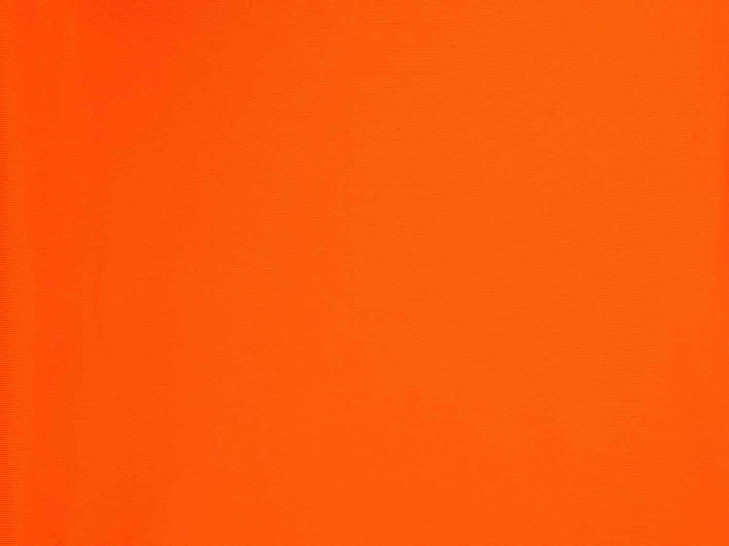 Bottom Calendula Nice-Fio 7 Bottom Calendula Nice-Fio - Image 5