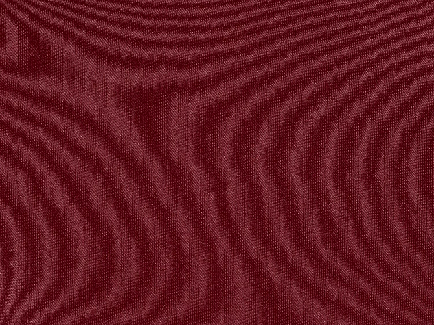 Bottom Shimmer-Divino Belted-High-Waist 7 Bottom Shimmer-Divino Belted-High-Waist - Image 5