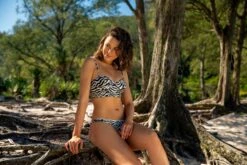 Set Wild-Black Balconet-Anna Nice -Cheap ESPRIT Store set wild black balconet anna nice extra 7 05